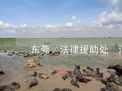 东莞 法律援助处 河 东莞 法律援助处 河